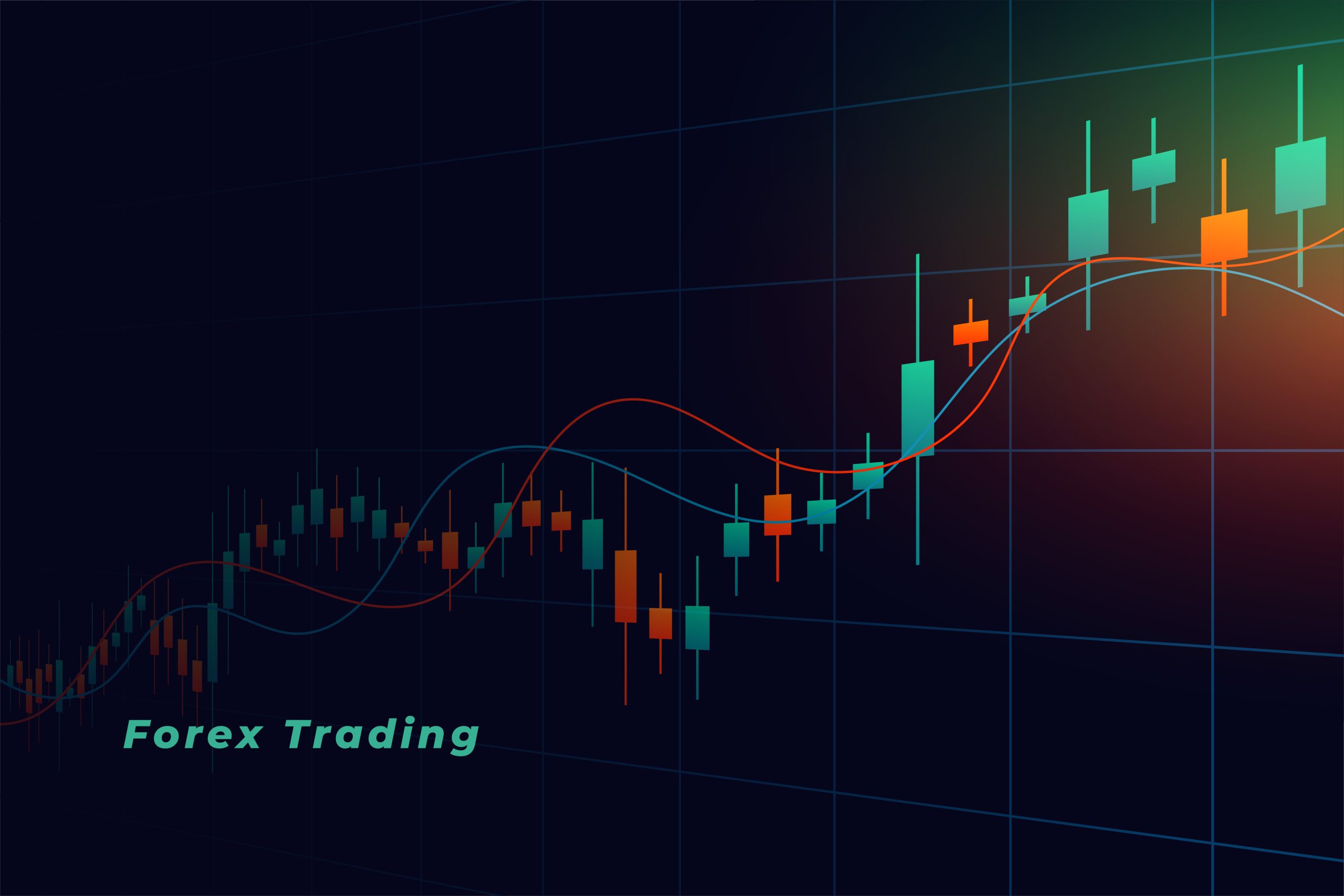 Shop Banner